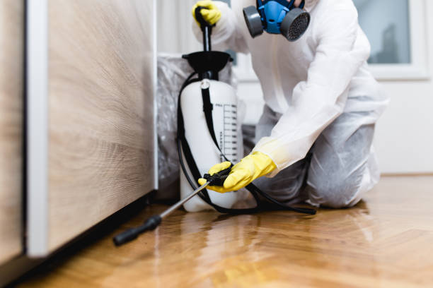 Best Pest Control Treatment  in De Queen, AR
