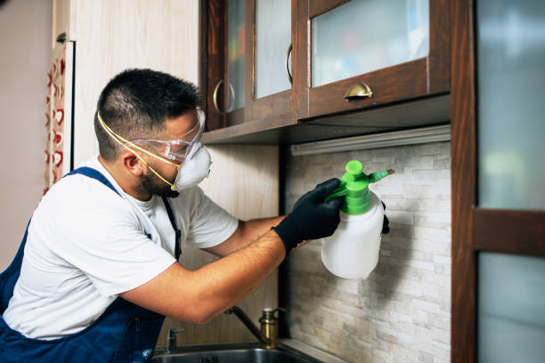 Best Pest Control for Businesses  in De Queen, AR
