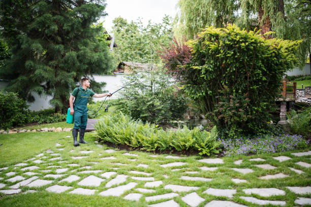 Best Pest Removal Services  in De Queen, AR