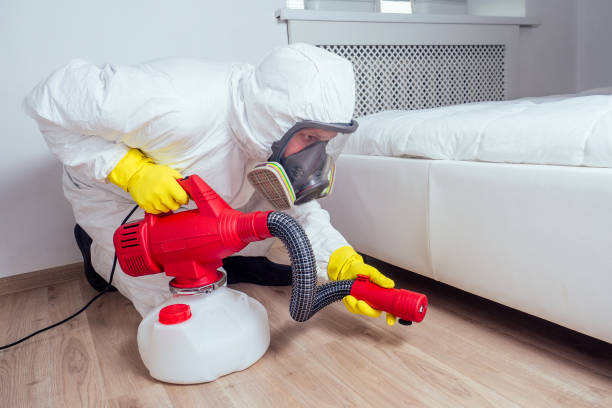 Best Best Pest Control Companies  in De Queen, AR