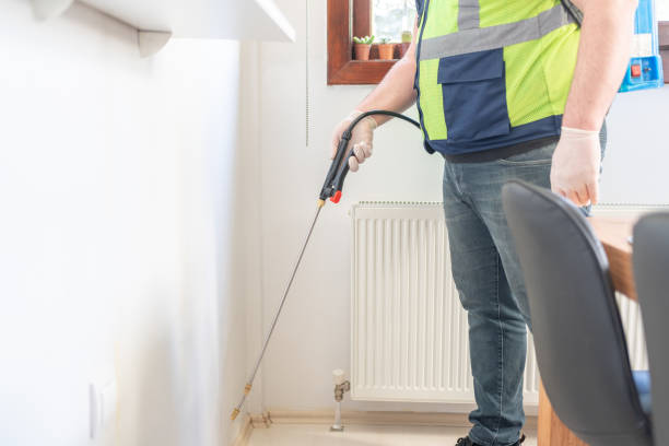 Best Local Pest Control Services  in De Queen, AR