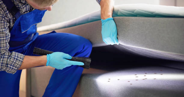 Pest Prevention Services in De Queen, AR